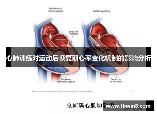 心肺训练对运动后恢复期心率变化机制的影响分析